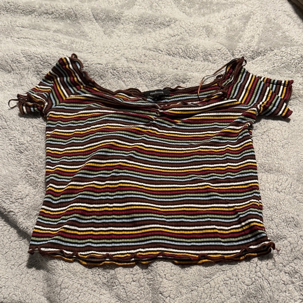 Ambiance Multicolor Striped Crop Top